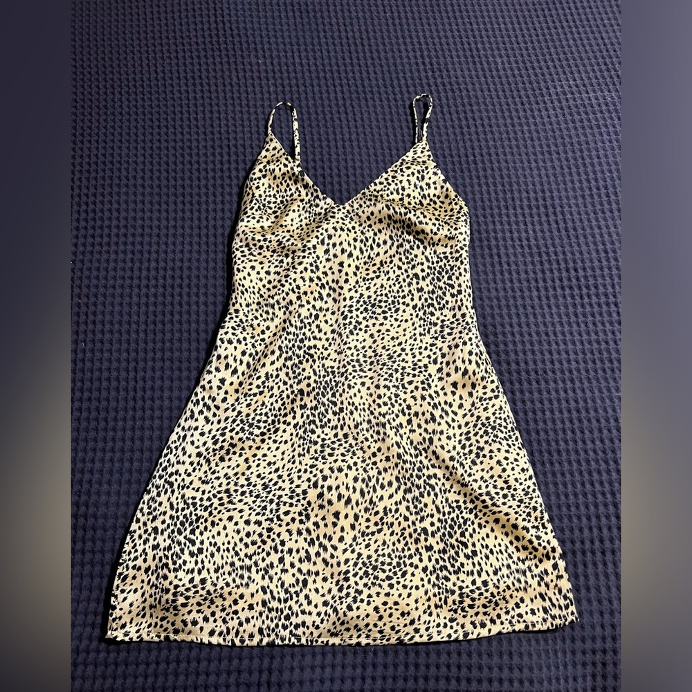 Princess polly dress